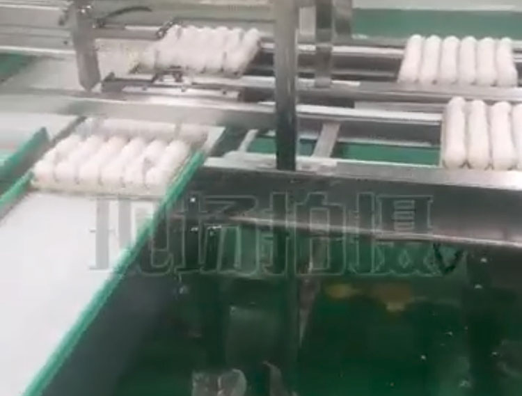 生物疫苗雞蛋檢測(cè)提取輸送線